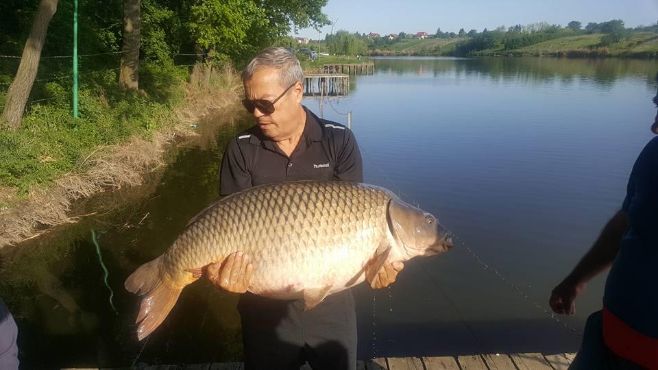 Moara Vlasiei 2 - 3168116717833280717055393857183920923607040n.jpg